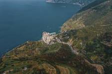 Edouard VASILIĆ - Edouard Vasilic